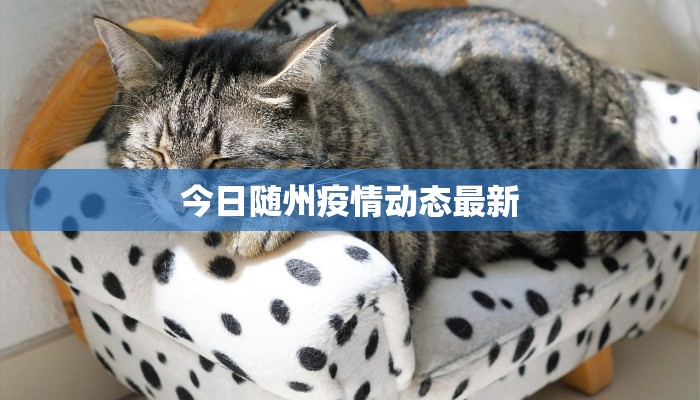 永青疫情最新通报情况