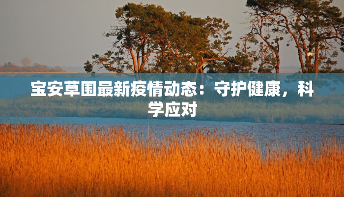 宝安草围最新疫情动态：守护健康，科学应对