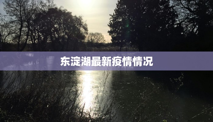东淀湖最新疫情情况