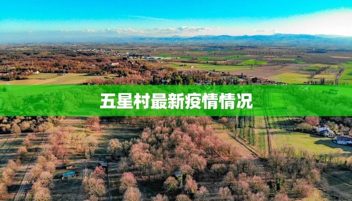 五星村最新疫情情况