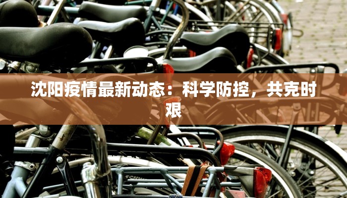 沈阳疫情最新动态：科学防控，共克时艰