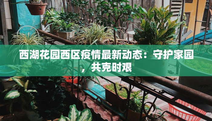 西湖花园西区疫情最新动态：守护家园，共克时艰