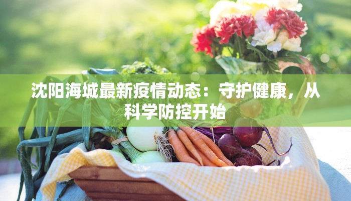 沈阳海城最新疫情动态：守护健康，从科学防控开始