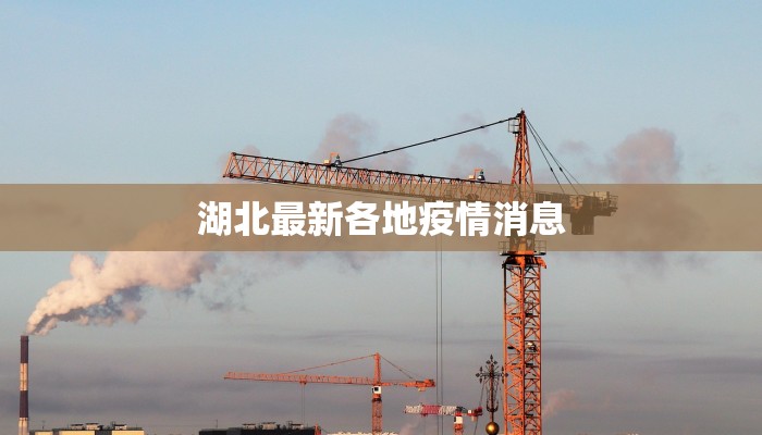 湖北最新各地疫情消息