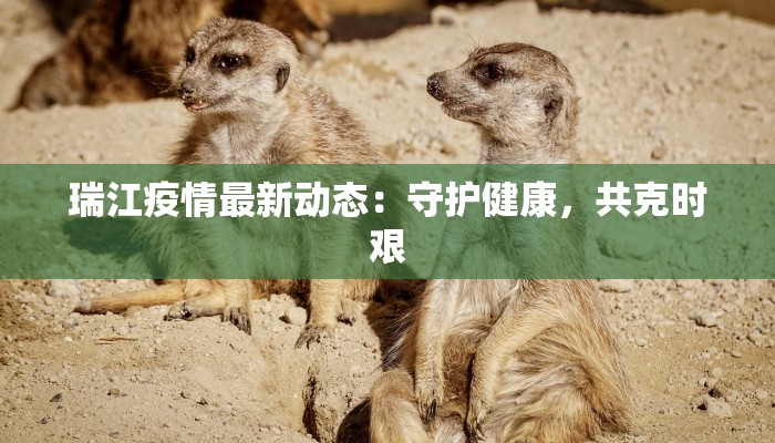 瑞江疫情最新动态：守护健康，共克时艰