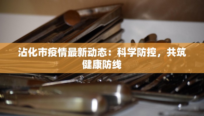 沾化市疫情最新动态：科学防控，共筑健康防线