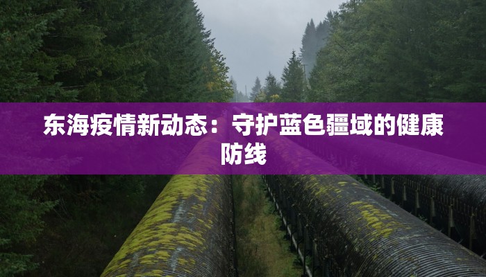 东海疫情新动态：守护蓝色疆域的健康防线
