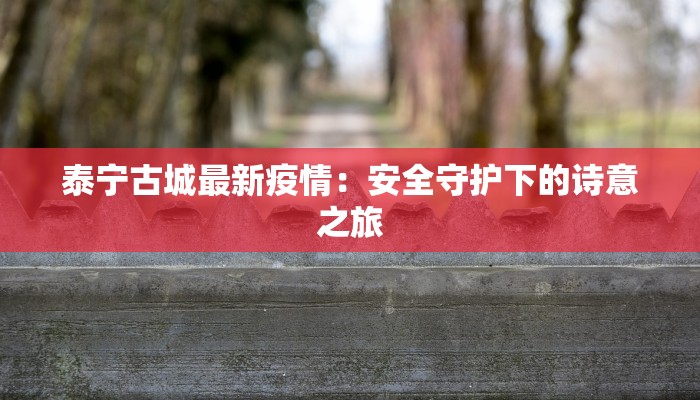 泰宁古城最新疫情：安全守护下的诗意之旅