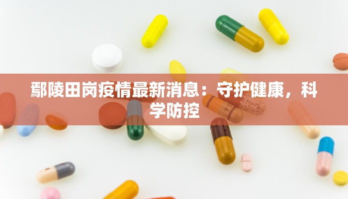 鄢陵田岗疫情最新消息：守护健康，科学防控