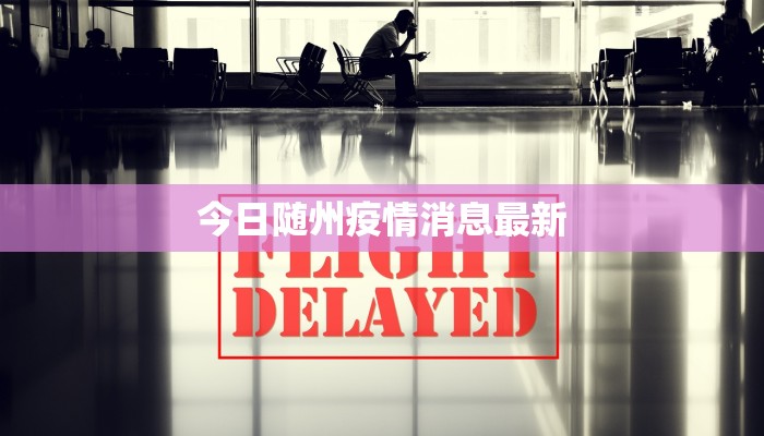 今日随州疫情消息最新