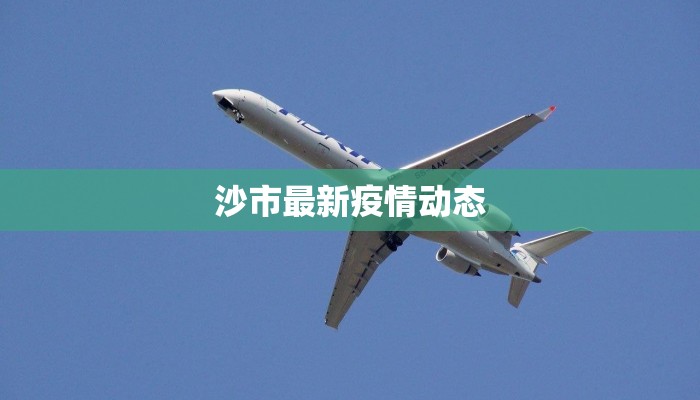 沙市最新疫情动态