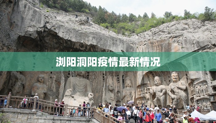 浏阳洞阳疫情最新情况