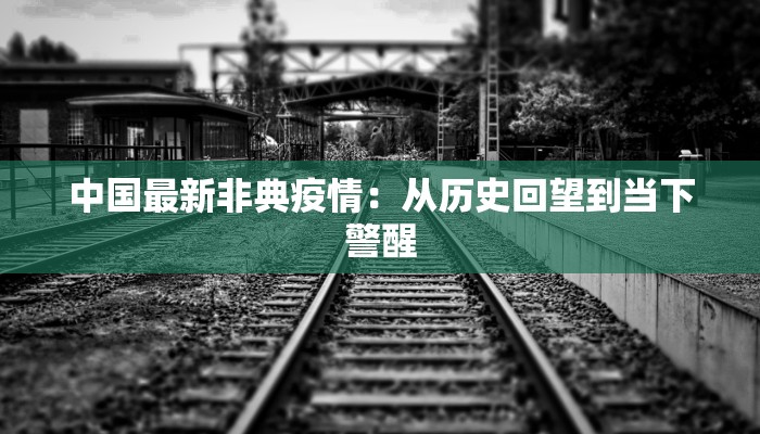 中国最新非典疫情：从历史回望到当下警醒