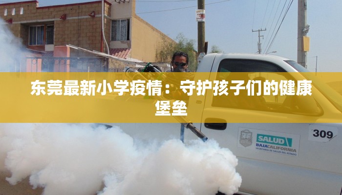 东莞最新小学疫情：守护孩子们的健康堡垒