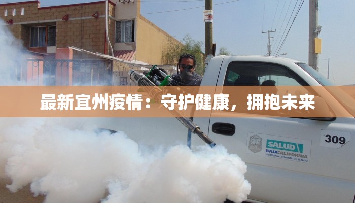 最新宜州疫情：守护健康，拥抱未来