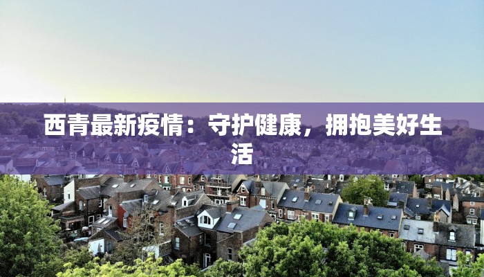 西青最新疫情：守护健康，拥抱美好生活