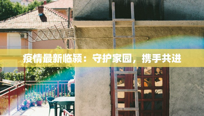 疫情最新临颍：守护家园，携手共进