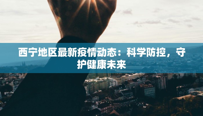 西宁地区最新疫情动态：科学防控，守护健康未来