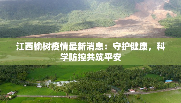江西榆树疫情最新消息：守护健康，科学防控共筑平安