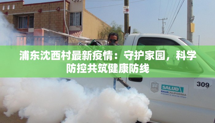 浦东沈西村最新疫情：守护家园，科学防控共筑健康防线