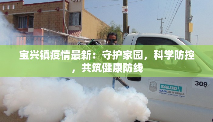 宝兴镇疫情最新：守护家园，科学防控，共筑健康防线