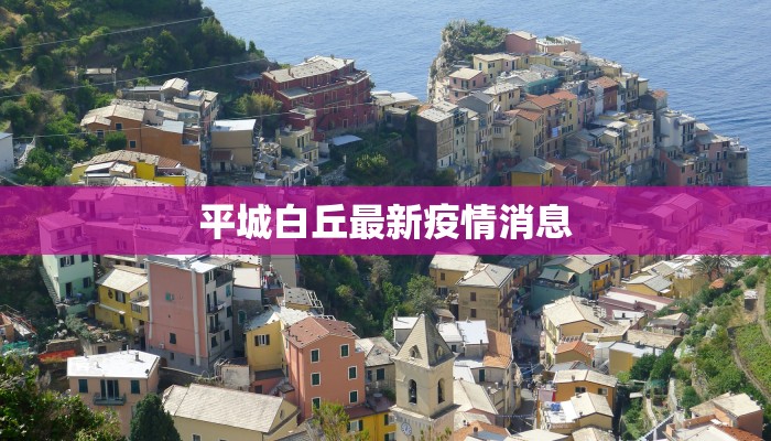 平城白丘最新疫情消息