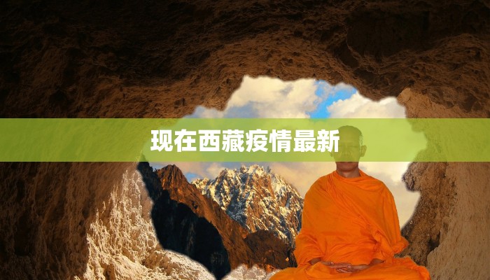 现在西藏疫情最新