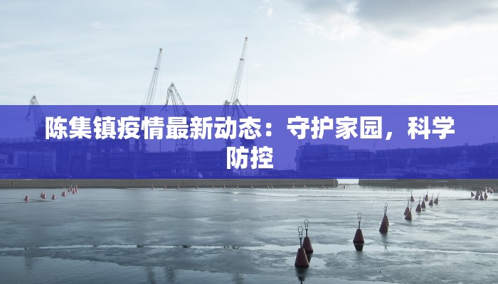 陈集镇疫情最新动态：守护家园，科学防控