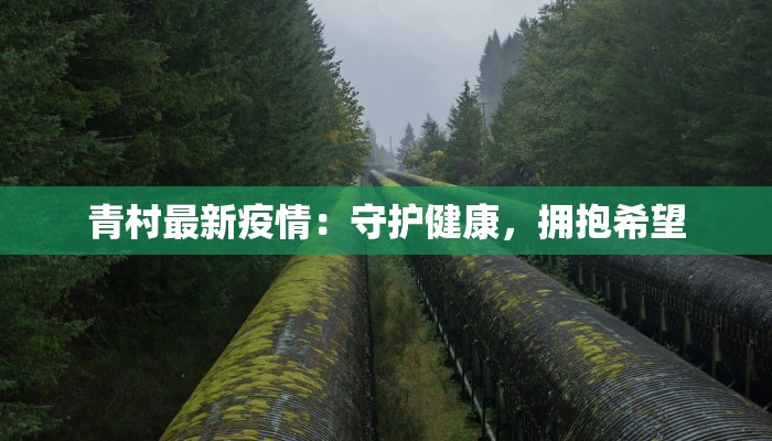 青村最新疫情：守护健康，拥抱希望