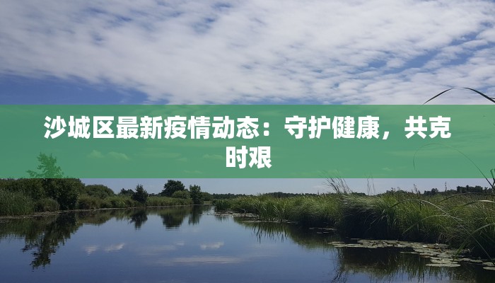 沙城区最新疫情动态：守护健康，共克时艰