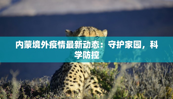 内蒙境外疫情最新动态：守护家园，科学防控