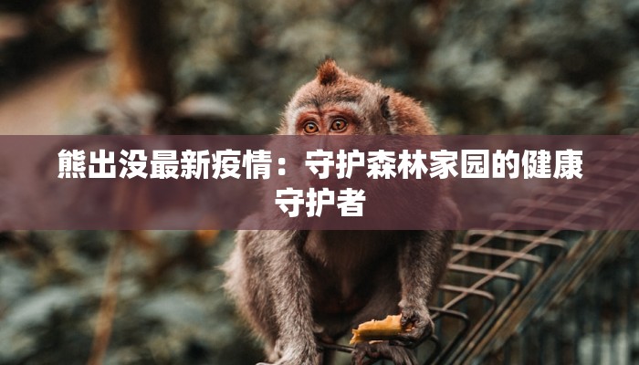 熊出没最新疫情：守护森林家园的健康守护者