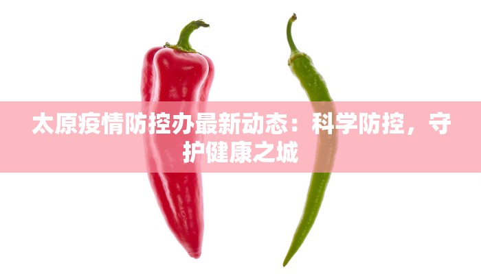 太原疫情防控办最新动态：科学防控，守护健康之城