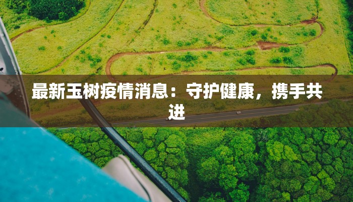 最新玉树疫情消息：守护健康，携手共进