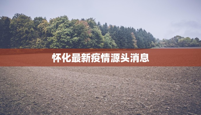 怀化最新疫情源头消息