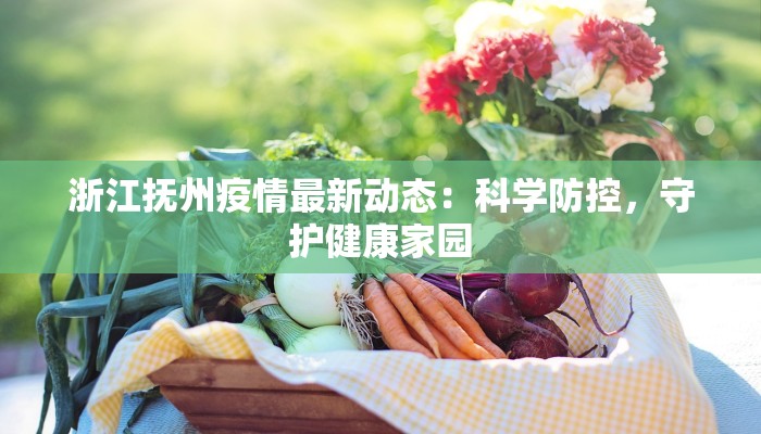 浙江抚州疫情最新动态:科学防控,守护健康家园 浙江抚州疫情最新动态:科学防控,守护健康家园