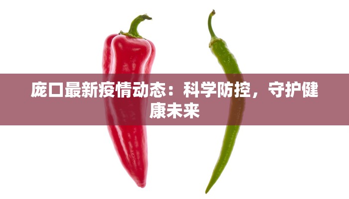 庞口最新疫情动态：科学防控，守护健康未来