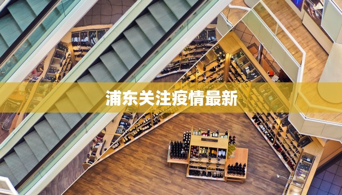 浦东关注疫情最新