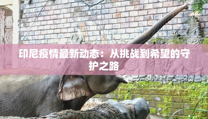 印尼疫情最新动态：从挑战到希望的守护之路