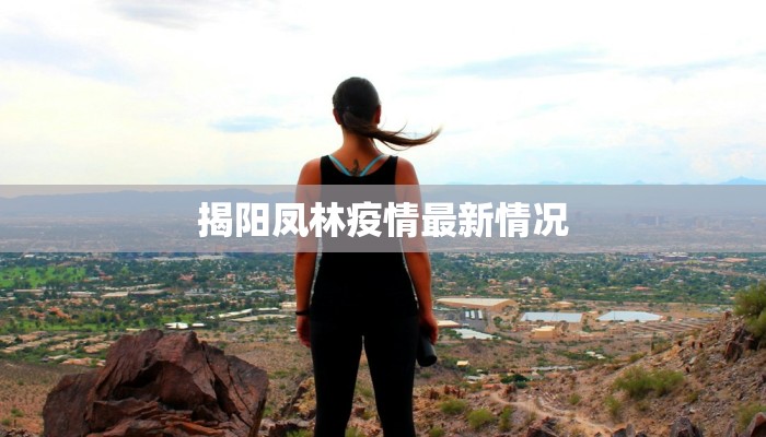 揭阳凤林疫情最新情况