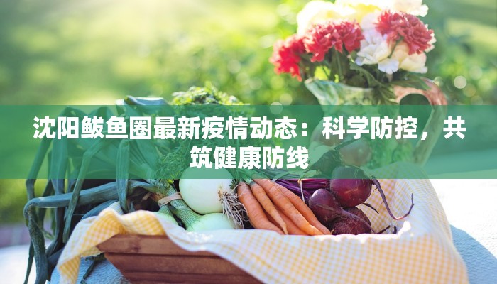 沈阳鲅鱼圈最新疫情动态：科学防控，共筑健康防线