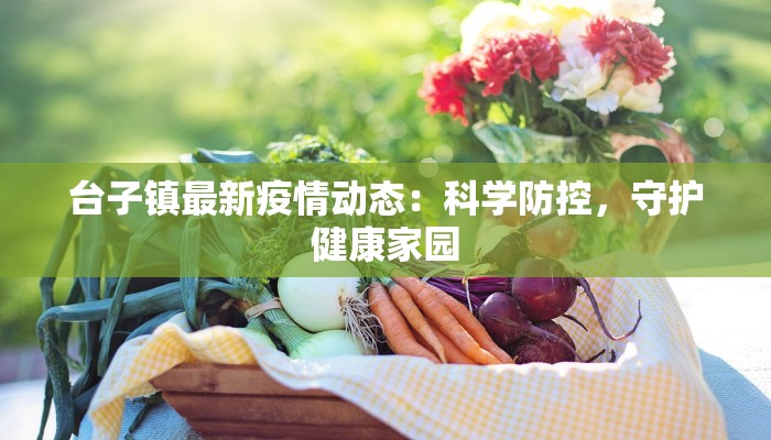 台子镇最新疫情动态：科学防控，守护健康家园
