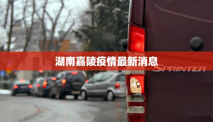 湖南嘉陵疫情最新消息