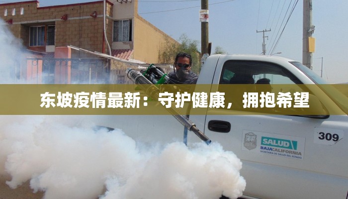 东坡疫情最新：守护健康，拥抱希望