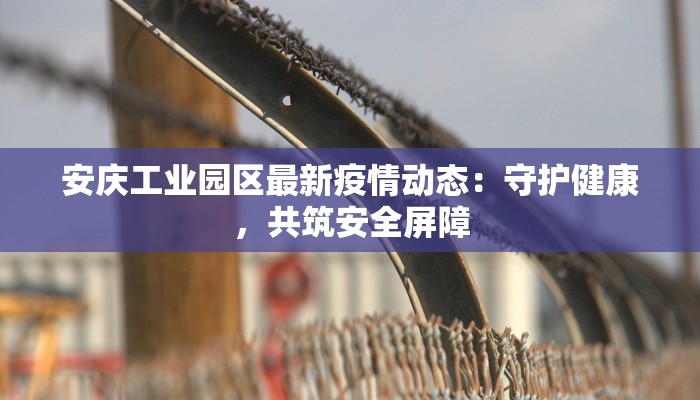 安庆工业园区最新疫情动态：守护健康，共筑安全屏障