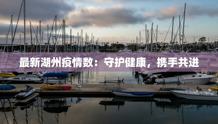 最新湖州疫情数：守护健康，携手共进