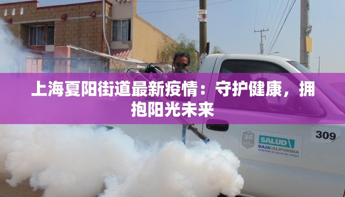 上海夏阳街道最新疫情：守护健康，拥抱阳光未来