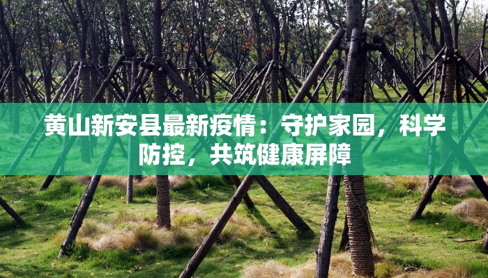 黄山新安县最新疫情：守护家园，科学防控，共筑健康屏障