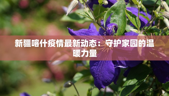 新疆喀什疫情最新动态：守护家园的温暖力量