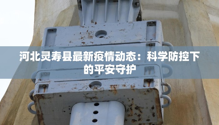 河北灵寿县最新疫情动态：科学防控下的平安守护